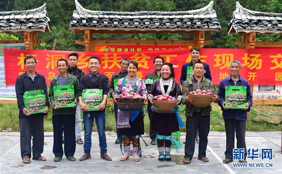 （社会）（10）苗山脱贫影像志&mdash;&mdash;乌英苗寨：荒山结出脱贫果