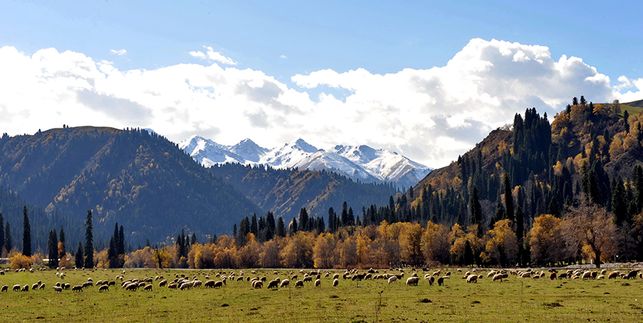 新疆伊宁库尔德宁景区-新华网