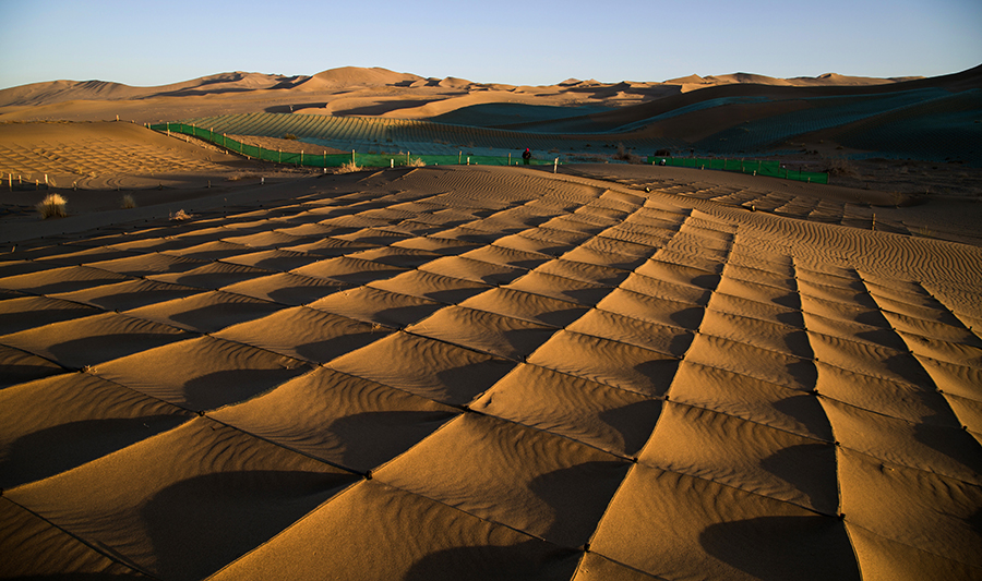 沙漠治理(二)-李庆霞