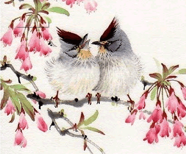 【涨姿势】如花似玉用来形容男子?鸳鸯用来形