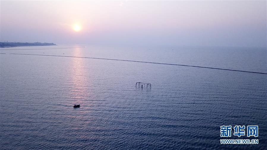 （环境）（2）晨之巢湖 风景如画