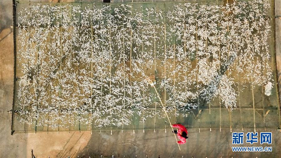 （环境）（3）晨之巢湖 风景如画