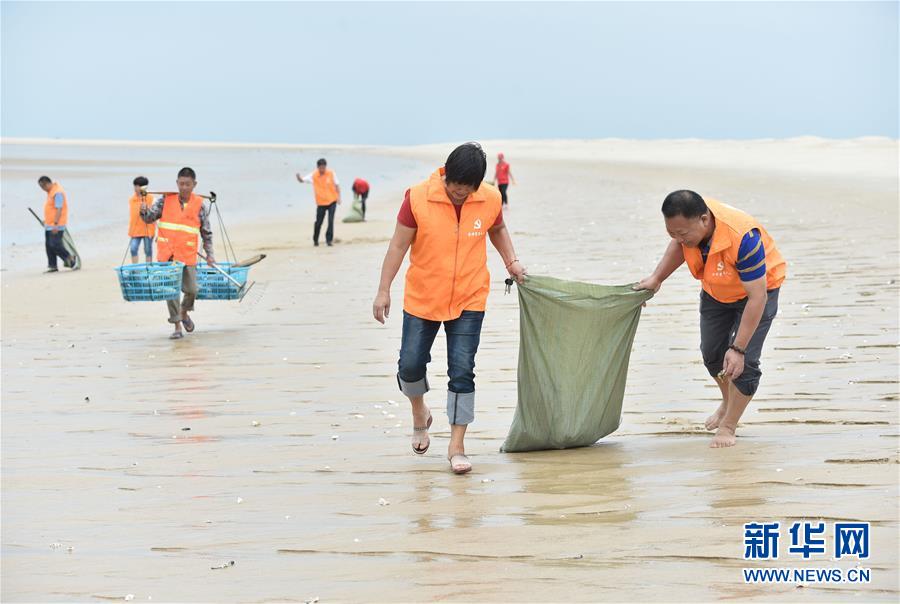 （环境）（3）福建晋江：海滩义工 清理垃圾