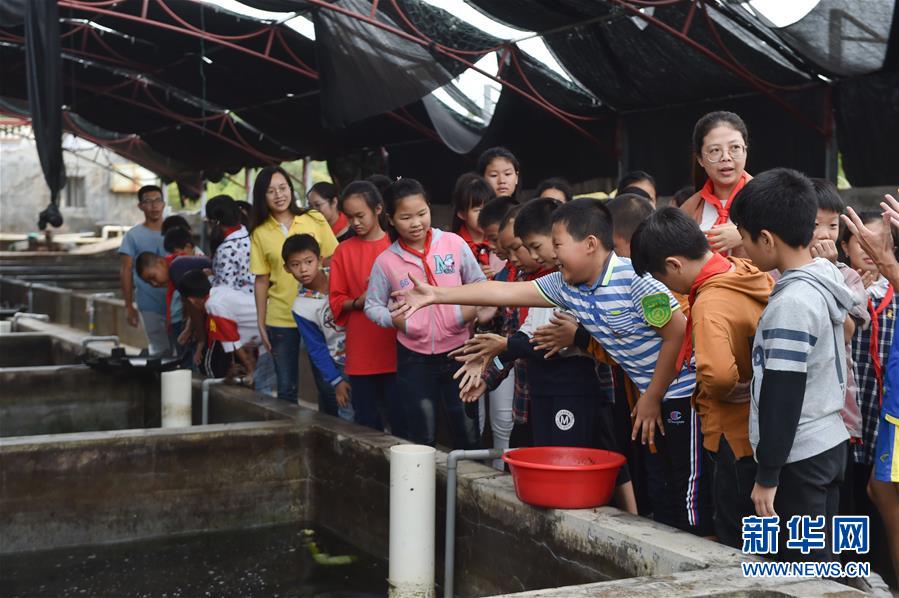 （社会）（7）福建晋江：探索乡村特色民宿发展之路