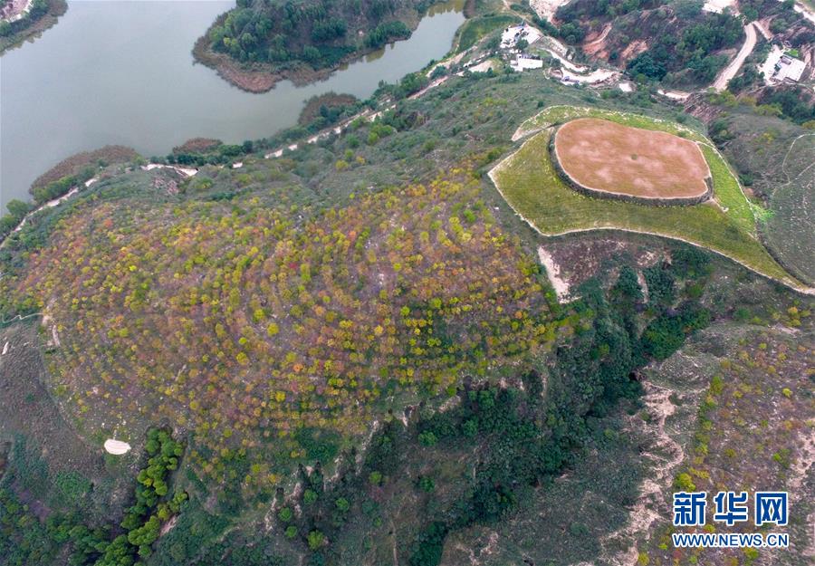 （百城百县百企调研行&middot;图文互动）（1）退耕还林20年 荒山秃岭都不见&mdash;&mdash;来自延安的报道
