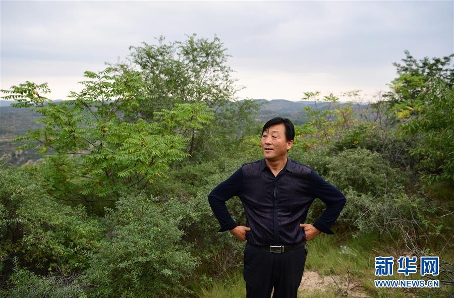 （百城百县百企调研行&middot;图文互动）（5）退耕还林20年 荒山秃岭都不见&mdash;&mdash;来自延安的报道