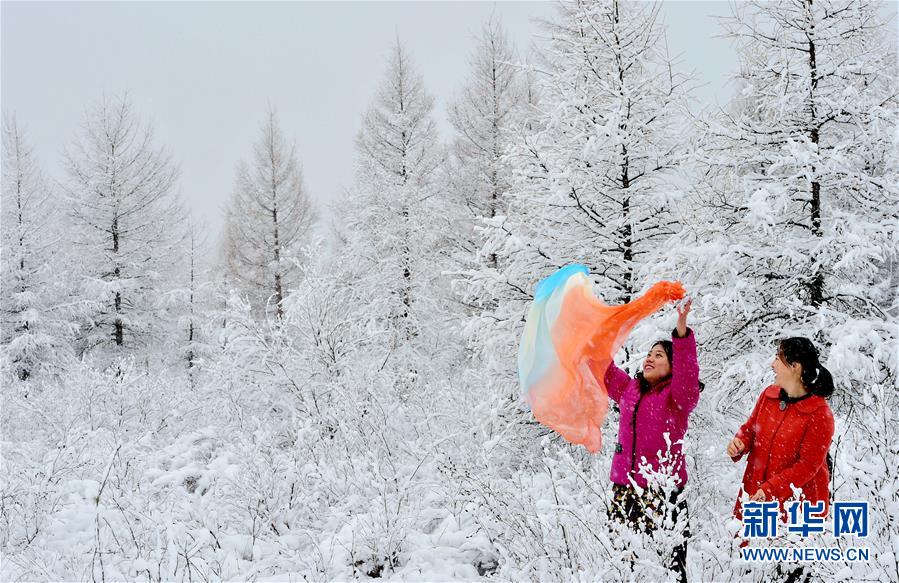 ＃（环境）（3）雪落呼伦贝尔