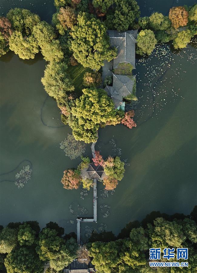 （秋季美丽生态）（2）西湖秋色