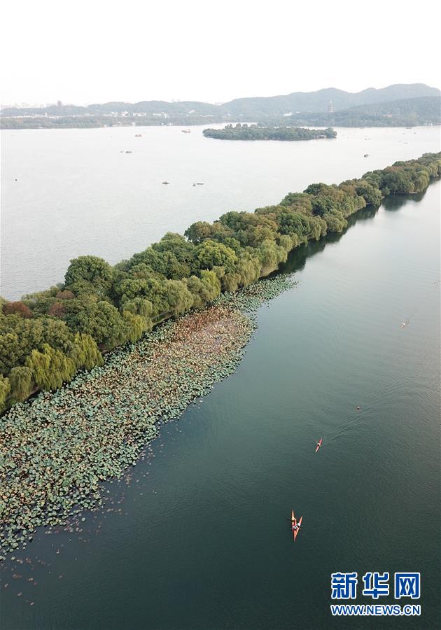 （秋季美丽生态）（3）西湖秋色