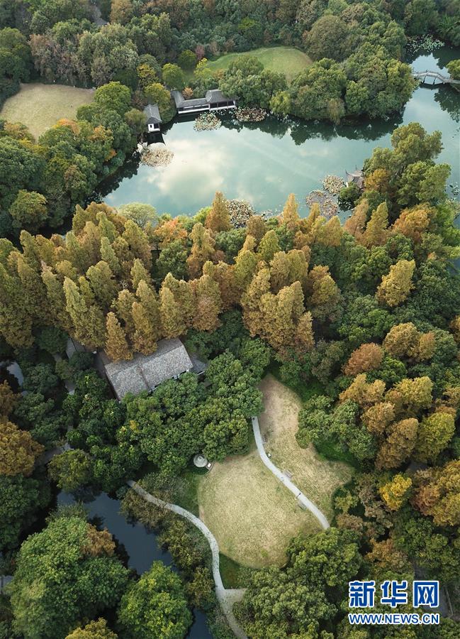 （秋季美丽生态）（4）西湖秋色