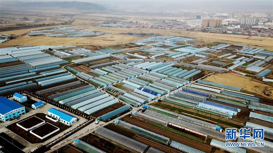 （百城百县百企调研行&middot;图文互动）（1）瞧瞧这些村咋富起来的&mdash;&mdash;黑龙江省牡丹江市发展特色精品农业促农增收