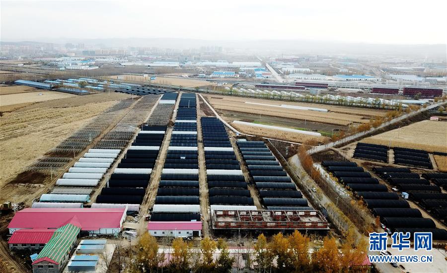 （百城百县百企调研行&middot;图文互动）（2）瞧瞧这些村咋富起来的&mdash;&mdash;黑龙江省牡丹江市发展特色精品农业促农增收