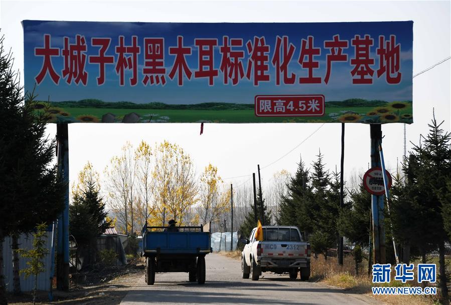 （百城百县百企调研行&middot;图文互动）（5）瞧瞧这些村咋富起来的&mdash;&mdash;黑龙江省牡丹江市发展特色精品农业促农增收