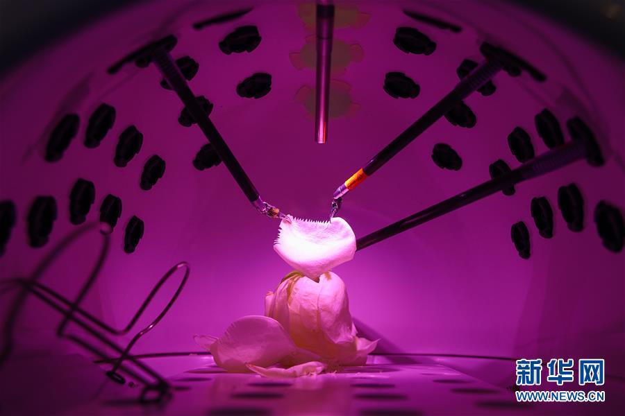 （镜观中国·新华社国内照片一周精选）（3）机械手术“手”