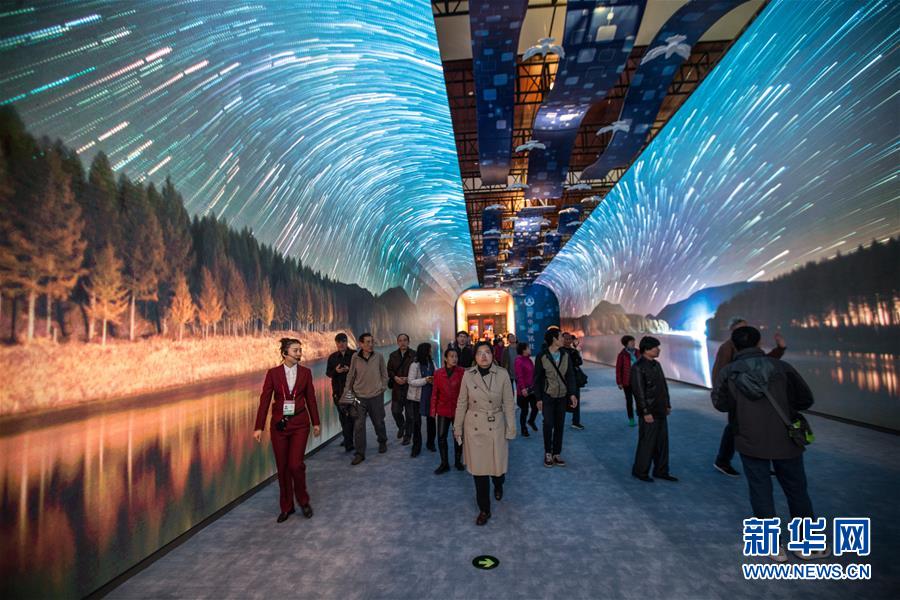 （社会）（4）参观&ldquo;伟大的变革&mdash;&mdash;庆祝改革开放40周年大型展览&rdquo;