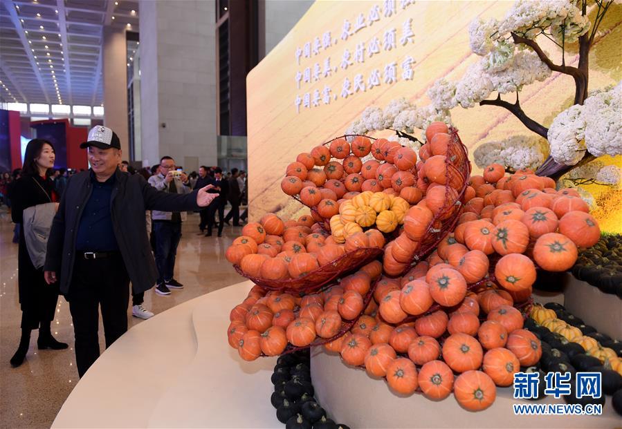 （社会）（5）参观&ldquo;伟大的变革&mdash;&mdash;庆祝改革开放40周年大型展览&rdquo;