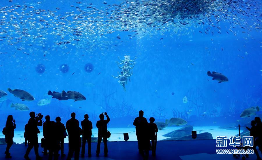 （社会）（1）上海海昌海洋公园开门迎客