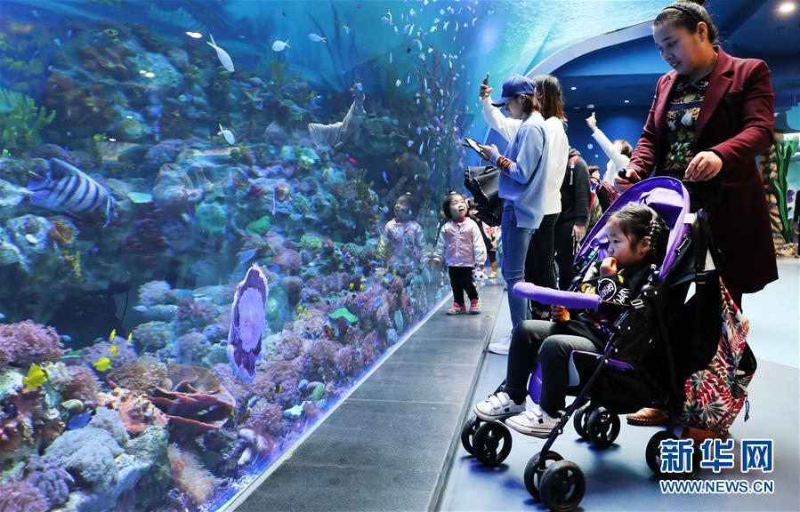 （社会）（4）上海海昌海洋公园开门迎客