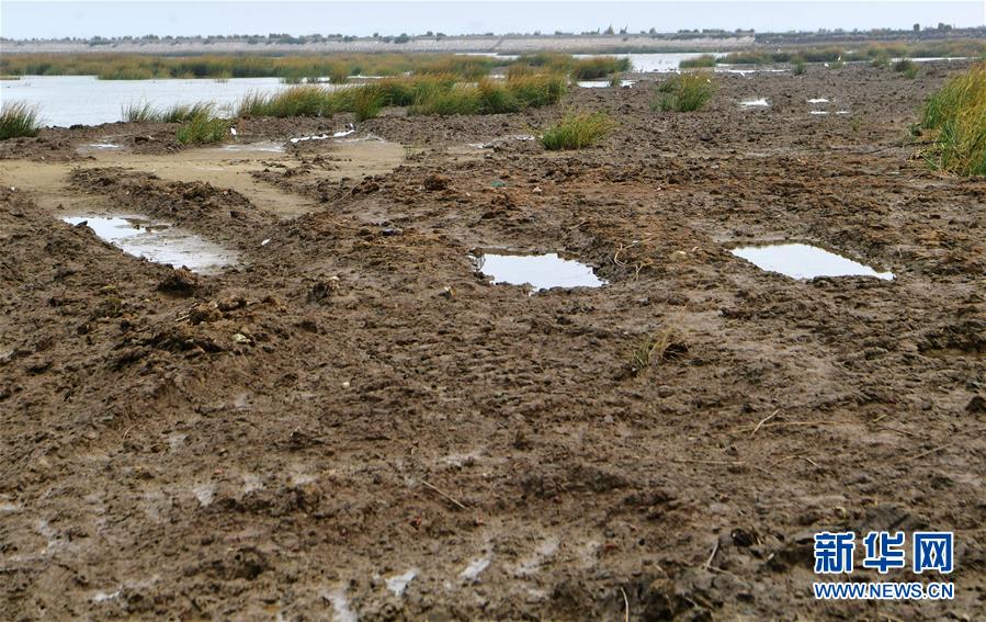 (新华视点·图文互动)(2)福建10名党员干部被问责的背后:7部门十余次执法未能有效制止泉州湾湿地围垦行为