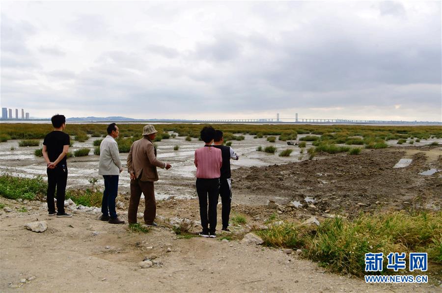 (新华视点·图文互动)(5)福建10名党员干部被问责的背后:7部门十余次执法未能有效制止泉州湾湿地围垦行为