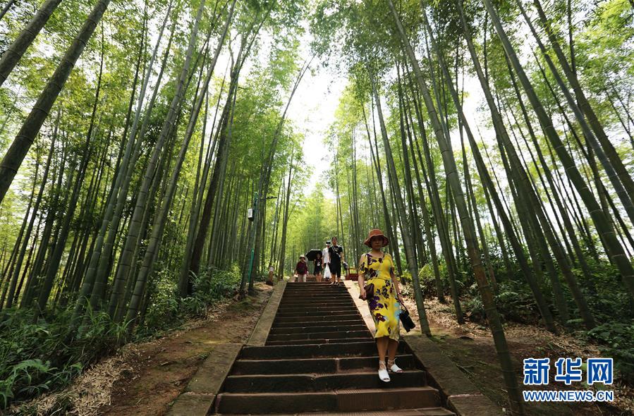 (在习近平新时代中国特色社会主义思想指引下·庆祝改革开放40周年·绿色发展·图文互动)(1)向阳花木易为春——绿色发展之“木”的故事