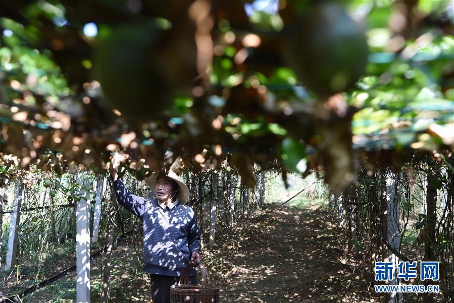 （社会）（8）贵州：扶贫基金助力贫困村旧貌换新颜