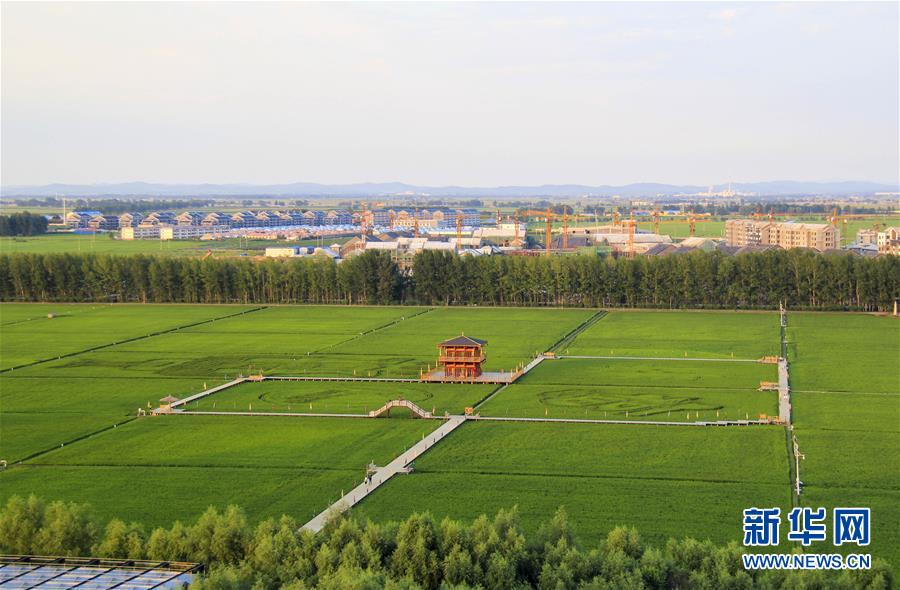 (庆祝改革开放40周年基层行·乡镇篇·图文互动)(3)三产融合培育乡村振兴热土——吉林孤店子镇“村变城”背后的故事