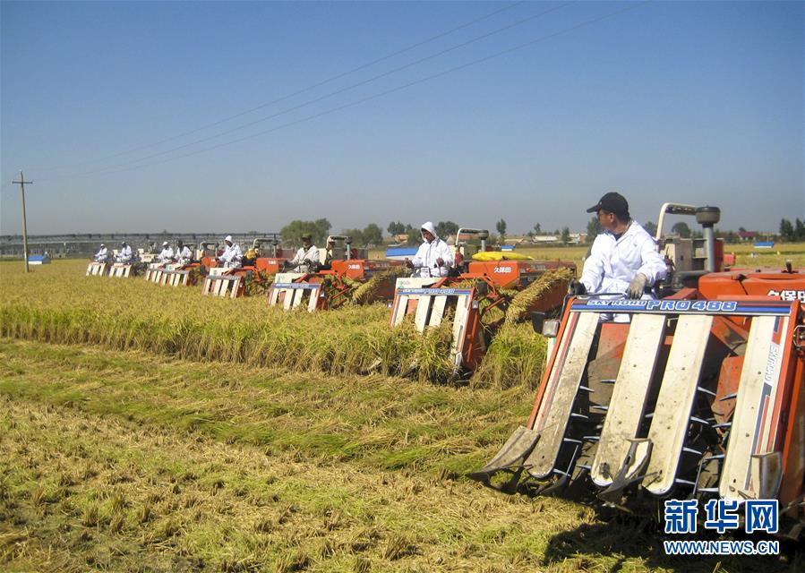 (庆祝改革开放40周年基层行·乡镇篇·图文互动)(6)三产融合培育乡村振兴热土——吉林孤店子镇“村变城”背后的故事