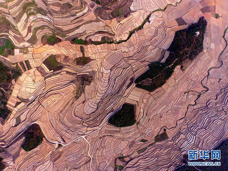 （镜观中国&middot;新华社国内照片一周精选）（3）从秃山到青山