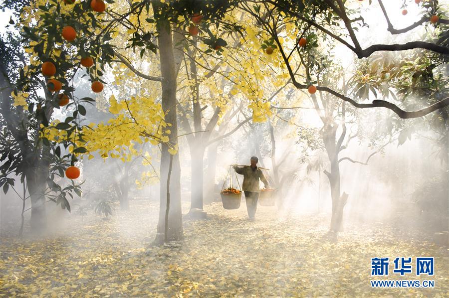 （镜观中国&middot;新华社国内照片一周精选）（6）雾中行
