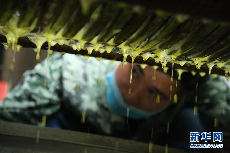 （镜观中国&middot;新华社国内照片一周精选）（13）一缕芳香