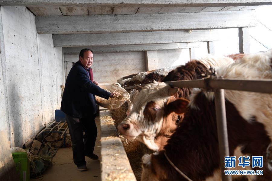 （庆祝改革开放40周年基层行&middot;村庄篇&middot;图文互动）（2）甘肃武威上庄村：杂乱不堪的村庄变了 农民住进&ldquo;幸福院&rdquo;