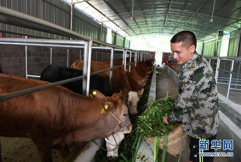 （辉煌60年&middot;壮美新广西&middot;图文互动）（7）奋力书写壮乡反贫困历史新篇章&mdash;&mdash;广西干部群众接续奋斗脱贫攻坚观察