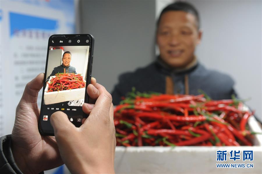 #（经济）（4）安徽阜南：辣椒红火上市