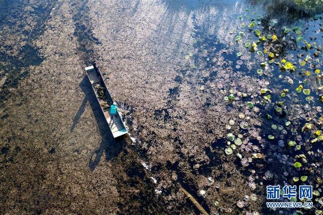 （在习近平新时代中国特色社会主义思想指引下——新时代新作为新篇章·图文互动）（4）洱海警铃响起之后……