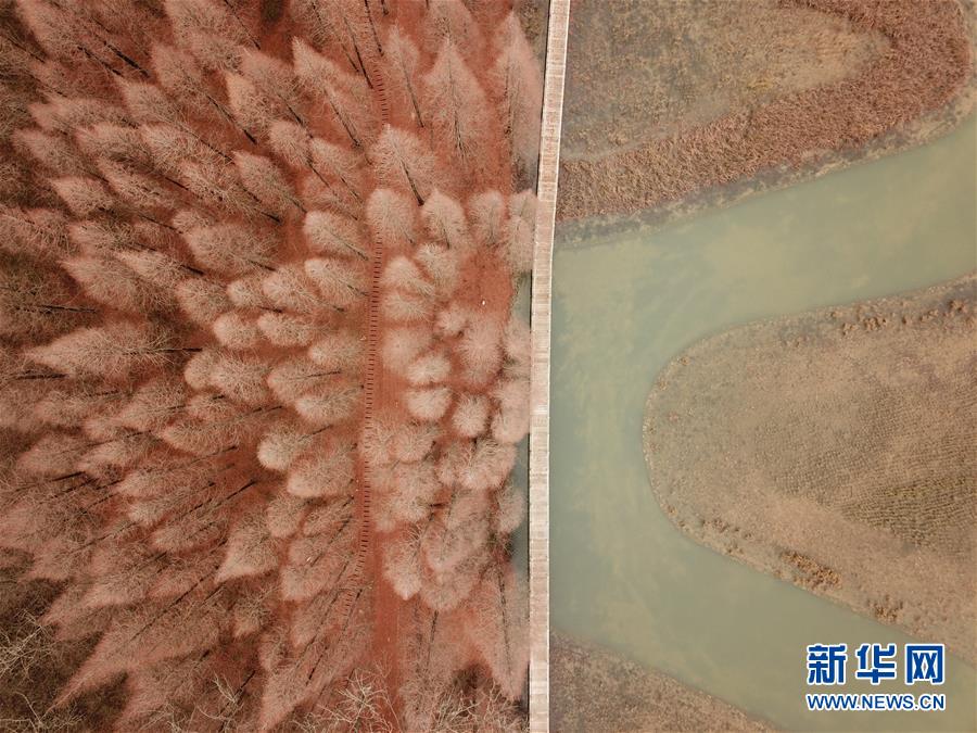 #（新華視界）（2）古堰長堤層林盡染