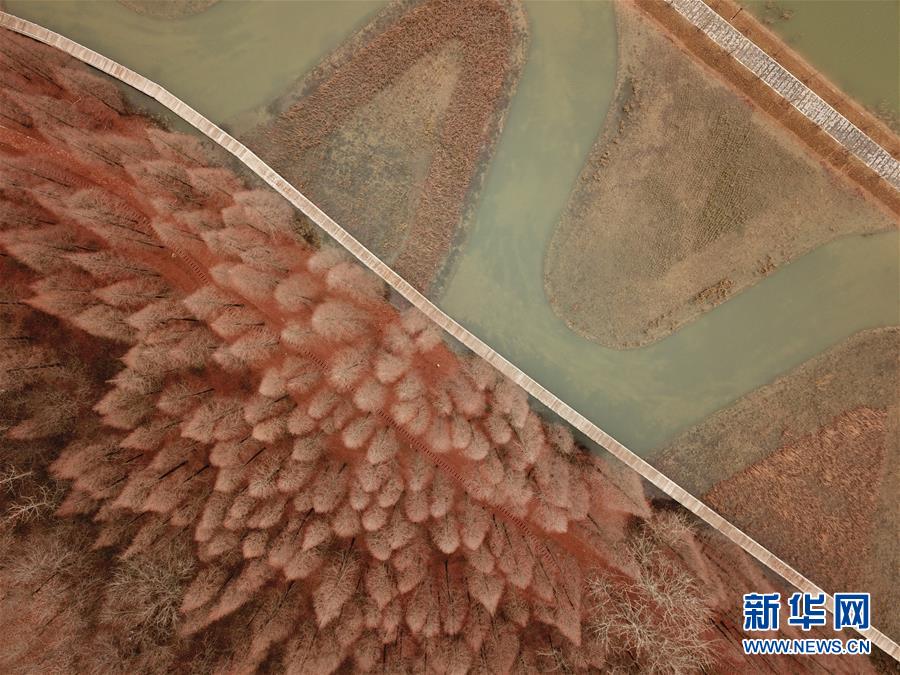 #（新華視界）（4）古堰長堤層林盡染