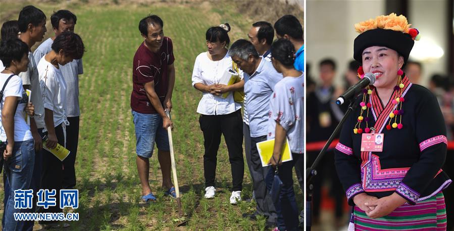 (两会·影像链接)全国政协委员张敏:培养新型农民 助力脱贫攻坚