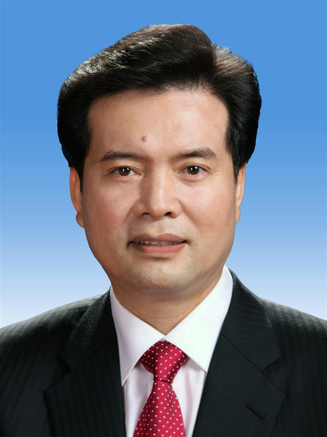 （两会）中国人民政治协商会议第十三届全国委员会副主席王正伟