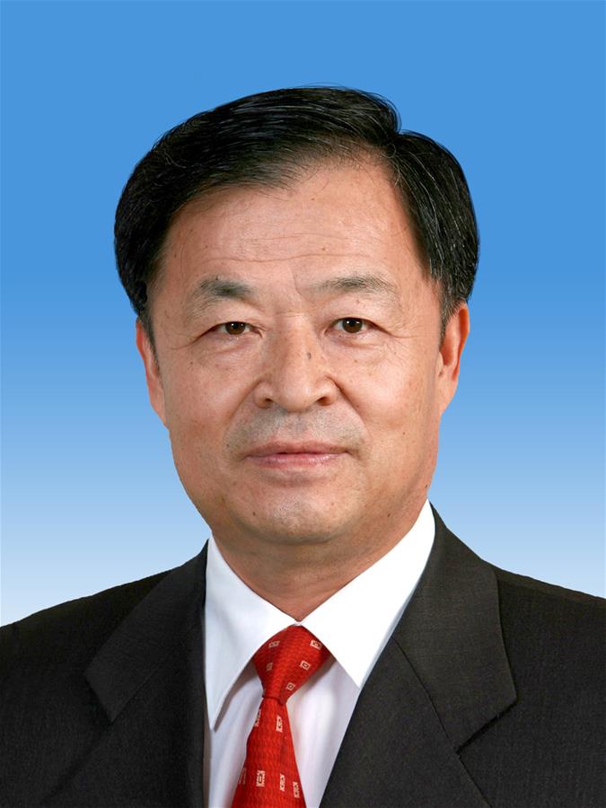 （两会）中国人民政治协商会议第十三届全国委员会副主席杨传堂