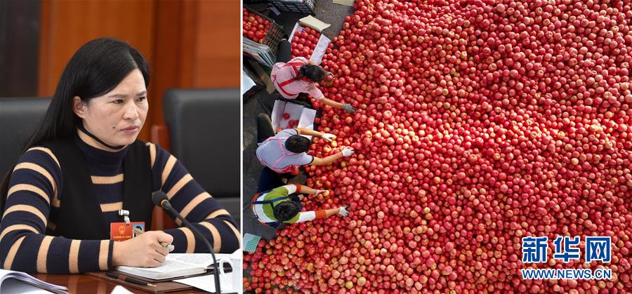 (两会·影像链接)全国人大代表曾云英:新型农业将迎来高质量发展的机遇
