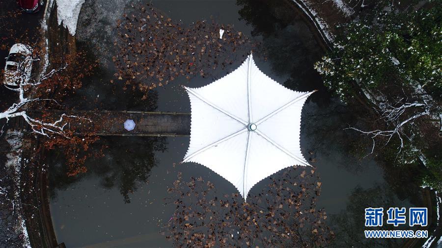 （环境）（4）雪后岳麓景如画