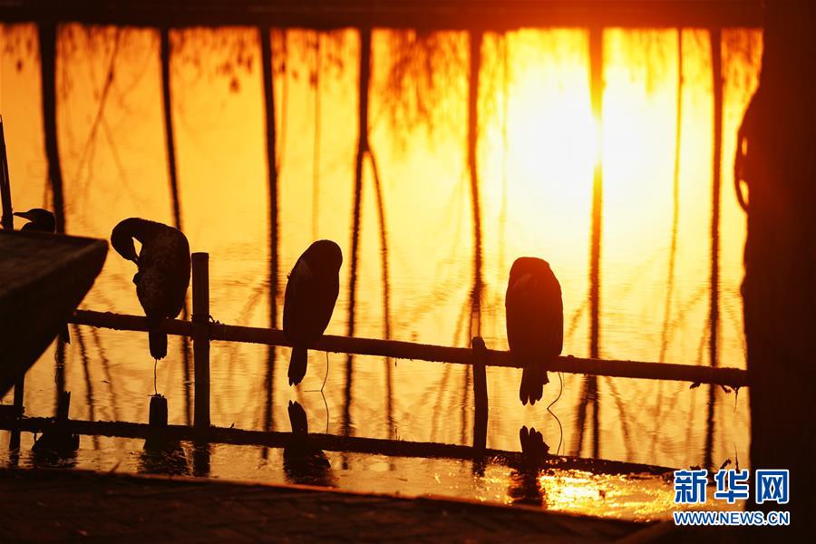 （图文互动）（8）国务院批复同意《河北雄安新区总体规划（2018&mdash;2035年）》 