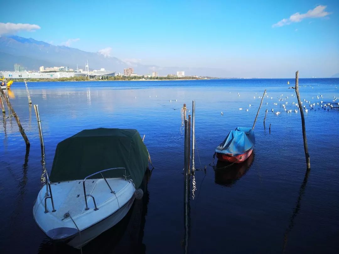 2019,伸手摘星。 | 中国之美