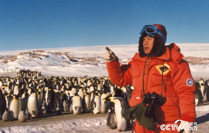1990年冬董兆乾在阿门达湾观测帝企鹅