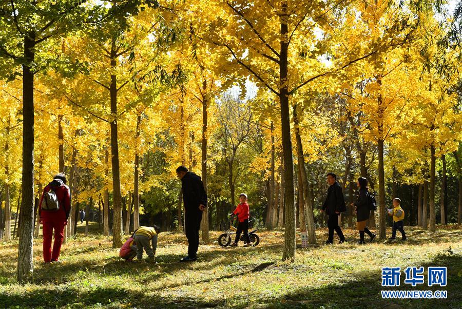 （新华全媒头条&middot;图文互动）（11）北京城市副中心：美好蓝图 徐徐打开