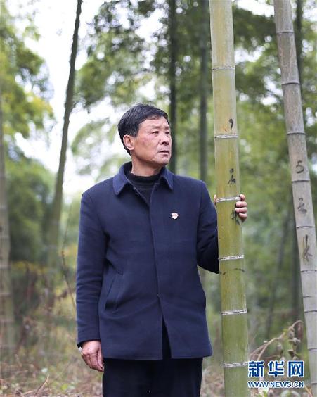 (改革先锋风采·图文互动)(1)鲍新民:“绿水青山就是金山银山”理念的践行者