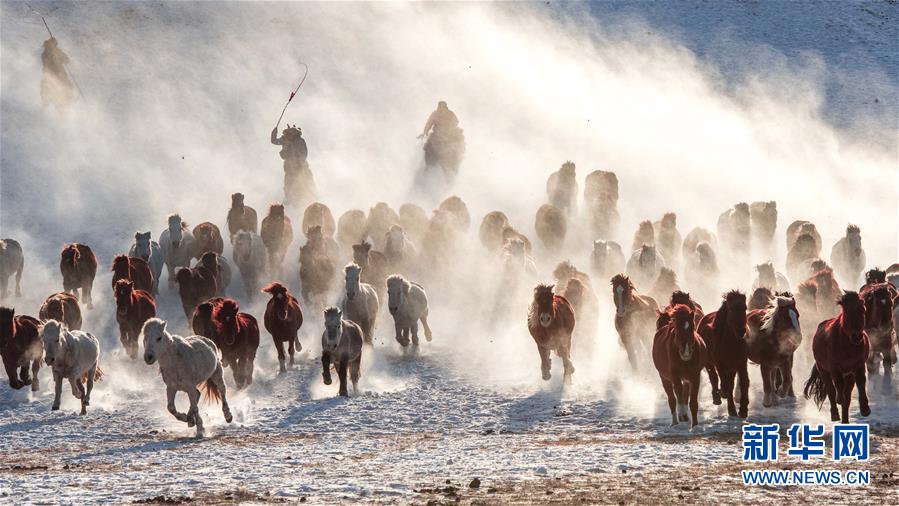 （镜观中国&middot;新华社国内新闻照片一周精选）（5）雪上马蹄疾