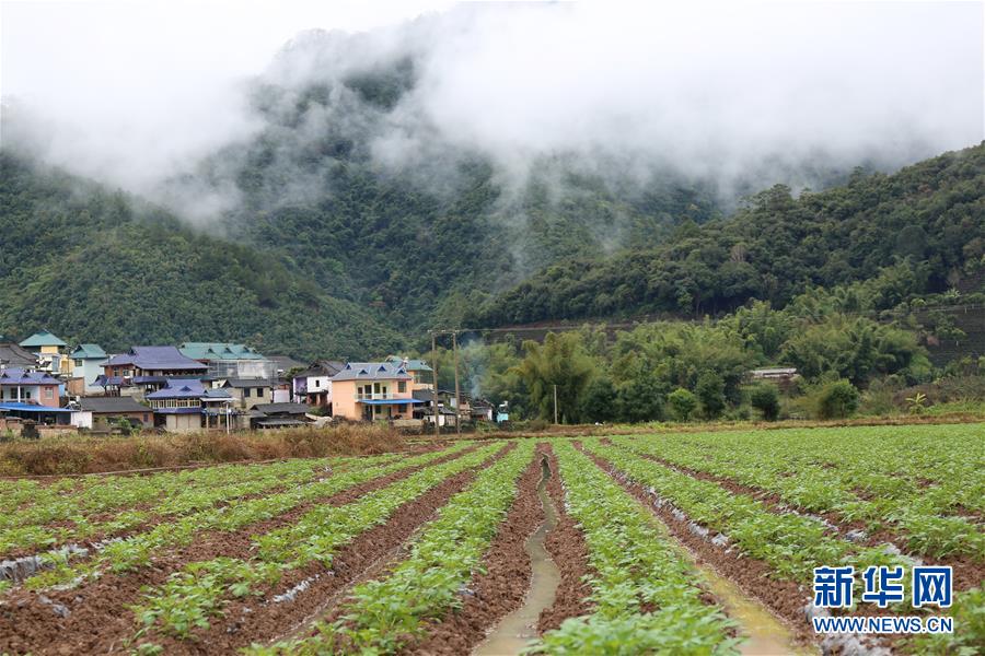 （在习近平新时代中国特色社会主义思想指引下&middot;将改革开放进行到底&middot;力量之源）（新华全媒头条&middot;图文互动）（9）我们都是奋斗者，我们都是追梦人&mdash;&mdash;献给奋力奔跑的中国人民