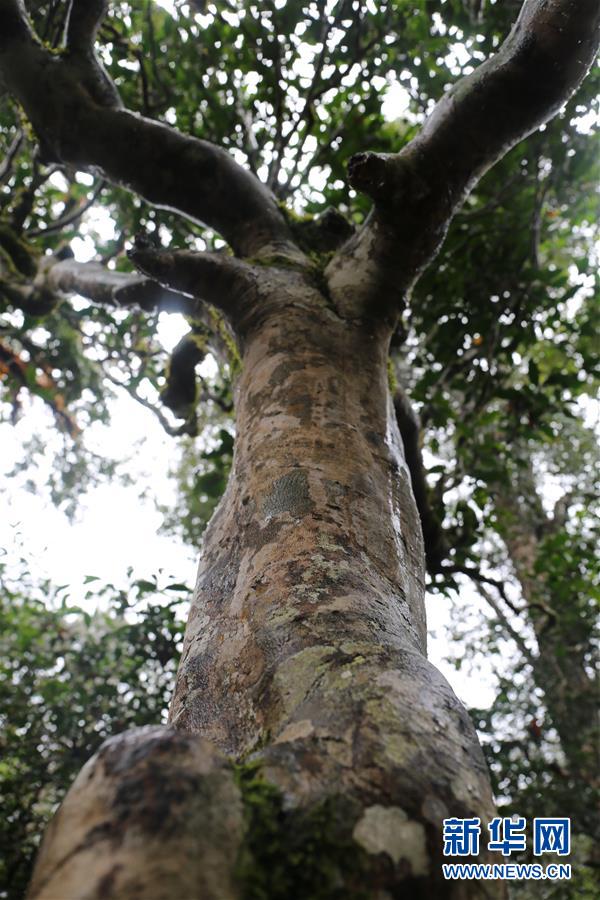 （在习近平新时代中国特色社会主义思想指引下&middot;将改革开放进行到底&middot;力量之源）（新华全媒头条&middot;图文互动）（10）我们都是奋斗者，我们都是追梦人&mdash;&mdash;献给奋力奔跑的中国人民